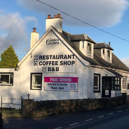 ロッカーンヘッド The Golden Larches Bed & Breakfast エクステリア 写真