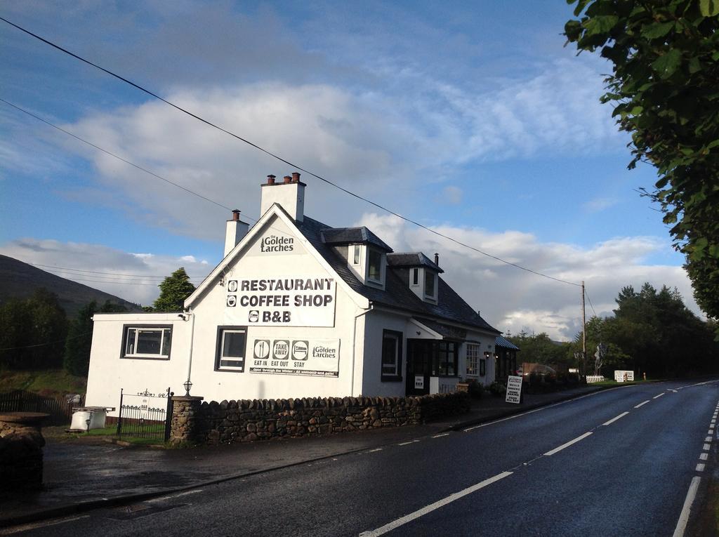 ロッカーンヘッド The Golden Larches Bed & Breakfast エクステリア 写真