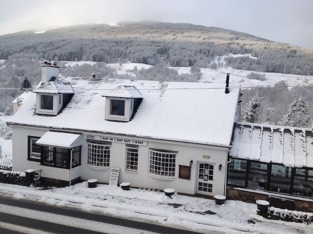 ロッカーンヘッド The Golden Larches Bed & Breakfast エクステリア 写真