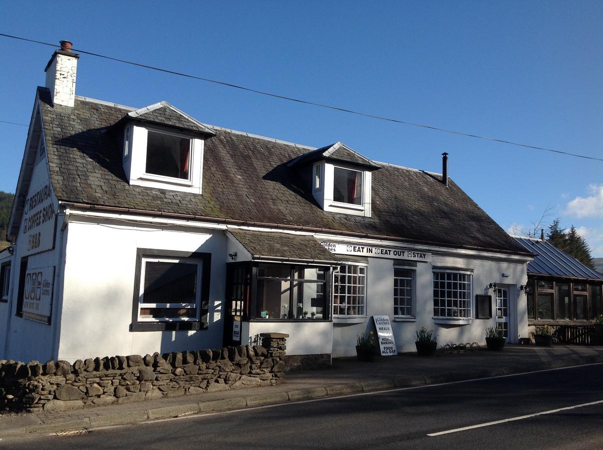 ロッカーンヘッド The Golden Larches Bed & Breakfast エクステリア 写真